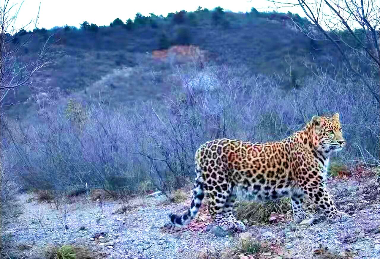 A׬F(xin)ϲۿh״ĵAӰ